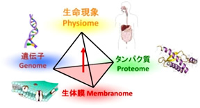 一般の方へ 画像1