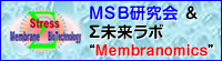 MSB研究会